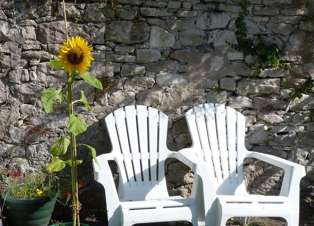 Rose Cottage Millport Luaran gambar